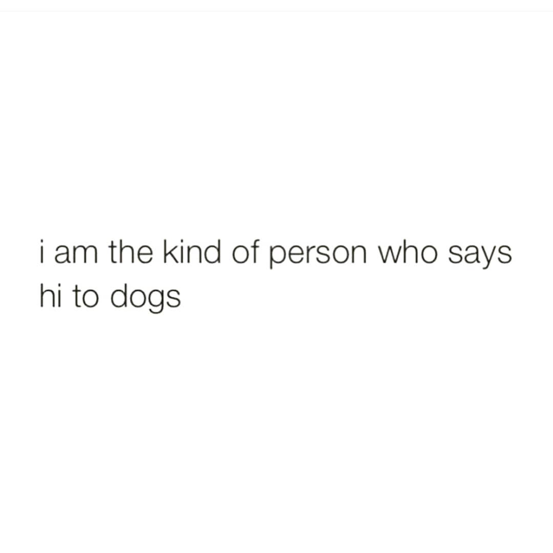 i am the kind of person who says
hi to dogs
