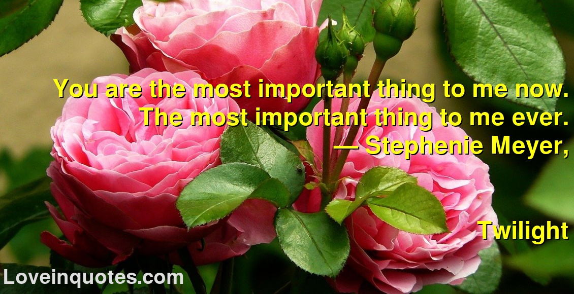 
You are the most important thing to me now. The most important thing to me ever.
― Stephenie Meyer,
Twilight