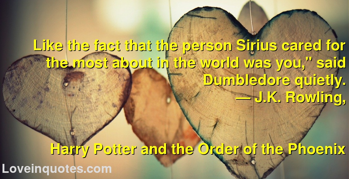 
Like the fact that the person Sirius cared for the most about in the world was you,