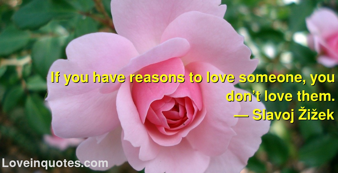 
If you have reasons to love someone, you don’t love them.
― Slavoj Žižek