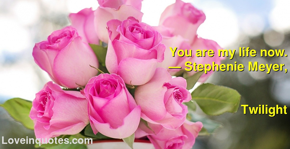 
You are my life now.
― Stephenie Meyer,
Twilight