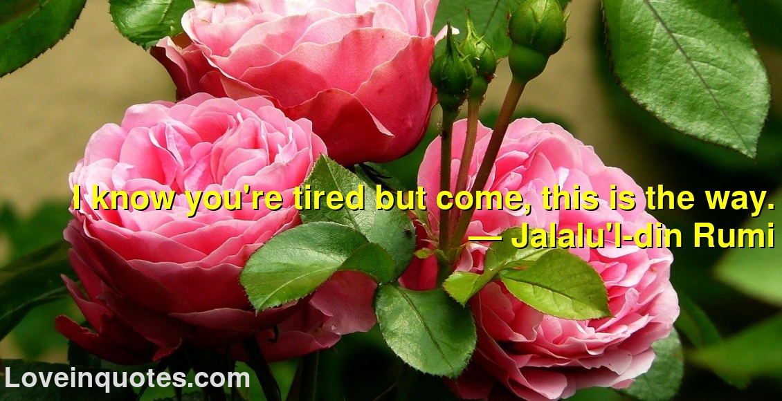 
I know you're tired but come, this is the way.
― Jalalu'l-din Rumi