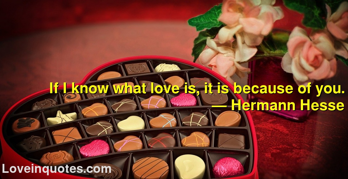 
If I know what love is, it is because of you.
― Hermann Hesse