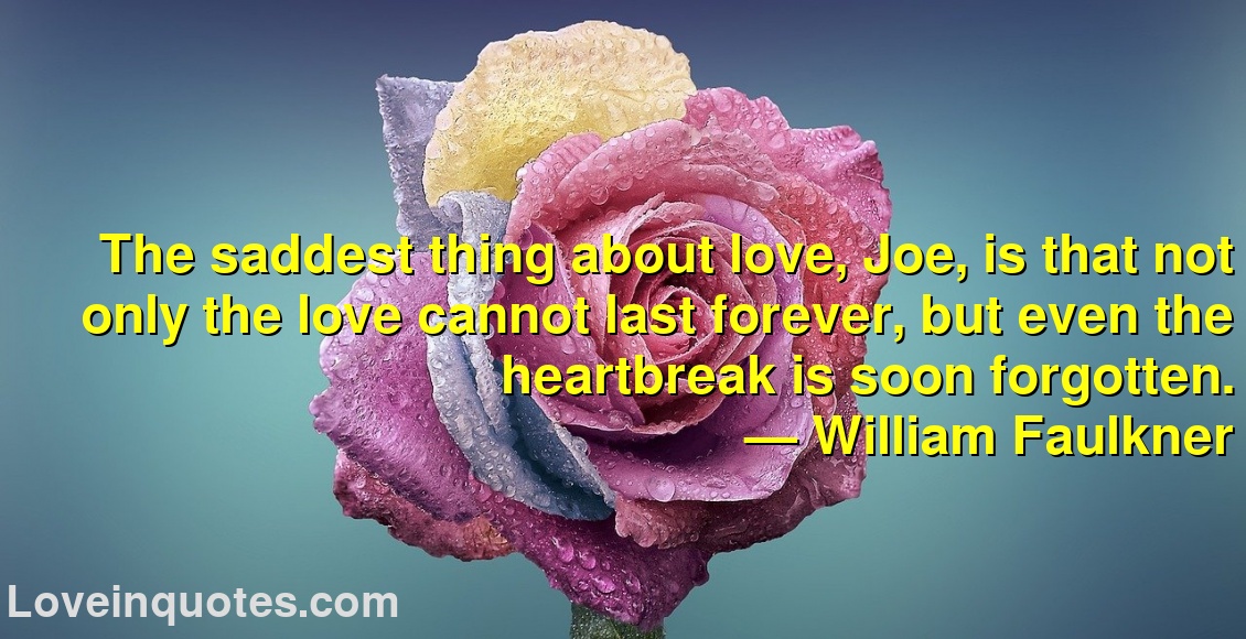 
The saddest thing about love, Joe, is that not only the love cannot last forever, but even the heartbreak is soon forgotten.
― William Faulkner