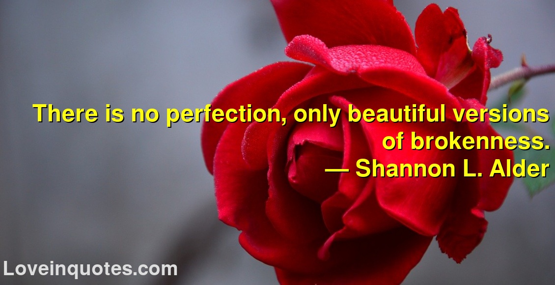 There is no perfection, only beautiful versions of brokenness.
― Shannon L. Alder
