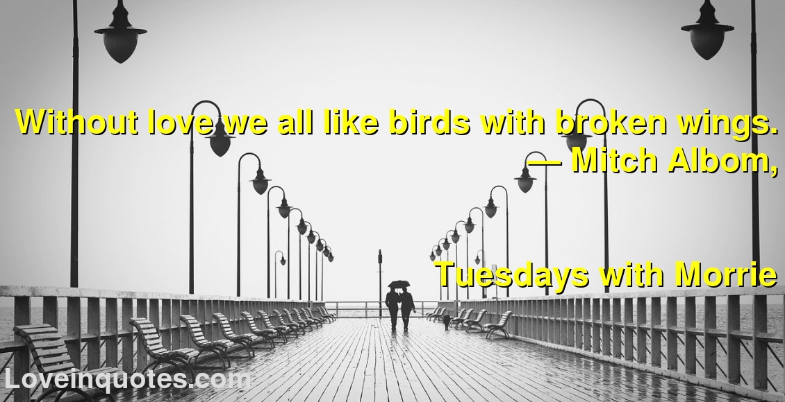 Without love we all like birds with broken wings.
― Mitch Albom,
Tuesdays with Morrie