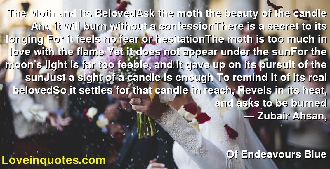 The Moth and Its BelovedAsk the moth the beauty of the candle And it will burn without a confessionThere is a secret to its longing For it feels no fear or hesitationThe moth is too much in love with the flame Yet it does not appear under the sunFor the moon’s light is far too feeble, and It gave up on its pursuit of the sunJust a sight of a candle is enough To remind it of its real belovedSo it settles for that candle in reach, Revels in its heat, and asks to be burned
― Zubair Ahsan,
Of Endeavours Blue